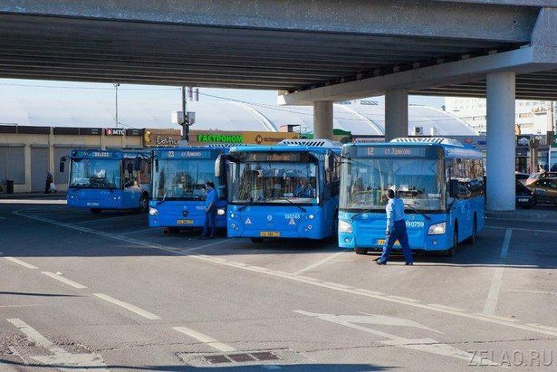 В Зеленограде возобновляет работу автобусный маршрут № 403