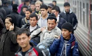В рамках операции «Мигрант» в Зеленограде проверили  468 иностранных граждан 