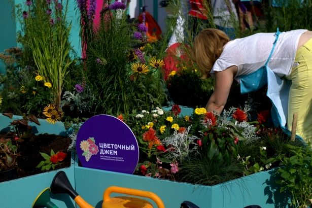 Любительскими цветниками у школы в Матушкино можно полюбоваться до конца месяца