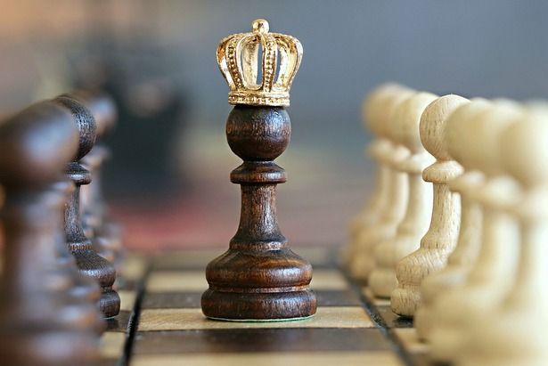 Международный День шахмат отметили в Матушкино большим турниром