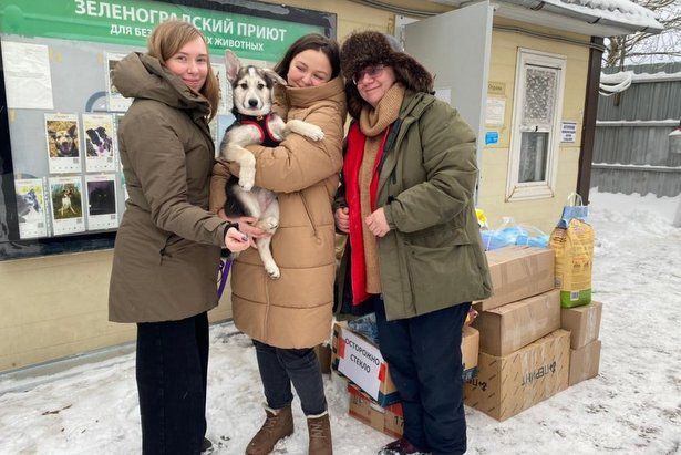 150 кошек и собак отдали в хорошие руки из приюта в Зеленограде в 2022 году