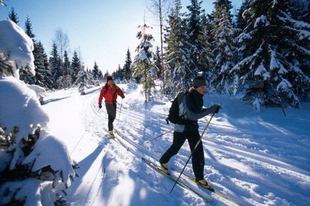 Жителей Матушкино ждут на семейном празднике «День лыжника»