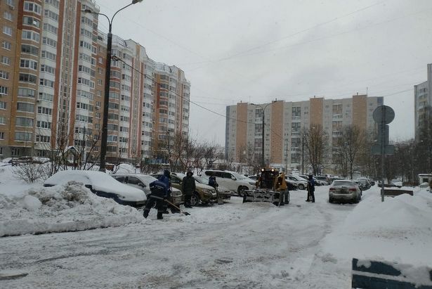 В ликвидации последствий снегопада в Зеленограде участвовали более тысячи человек