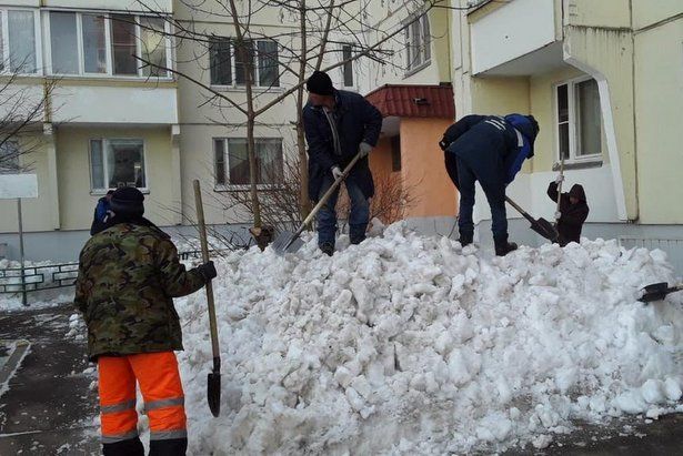 Этой зимой с территорий Зеленограда вывезли более миллиона кубометров снега