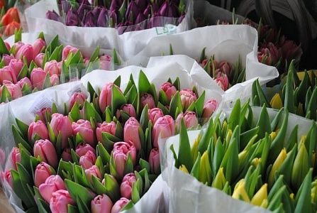 Незаконную торговлю цветами к 8 Марта будут пресекать