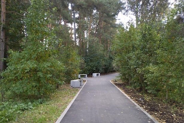 В лесопарках Зеленограда отремонтированы практически все дорожки