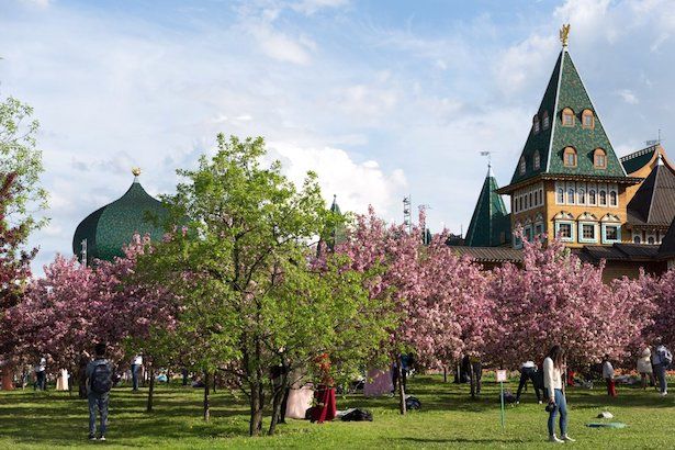 Москвичей ждет целый месяц бесплатных экскурсий по паркам и усадьбам