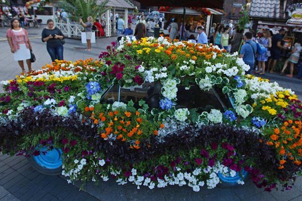 На Привокзальной площади Зеленограда 20 июля стартует фестиваль «Московское лето. Цветочный джем»