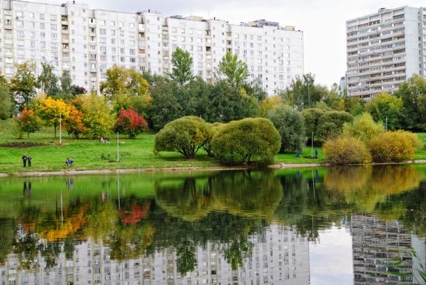 Обеспеченность зелёными насаждениями в Москве выше, чем в Лондоне