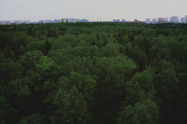 В Зеленограде появятся три новых особо охраняемых природных территории