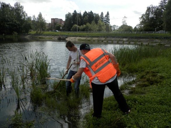 Бригады подростков из ГБУ «Заря» района Матушкино очищают зеленоградские водоемы