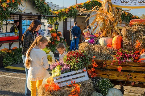 В октябре на площади Юности в Зеленограде пройдет фестиваль «Золотая осень»