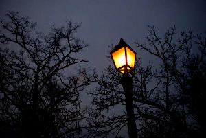 До конца года в Матушкино собираются установить 20 уличных фонарей  