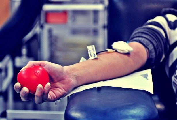 В Москве новые правила получения звания «Почетный донор» позволят быстрее пополнять банк крови