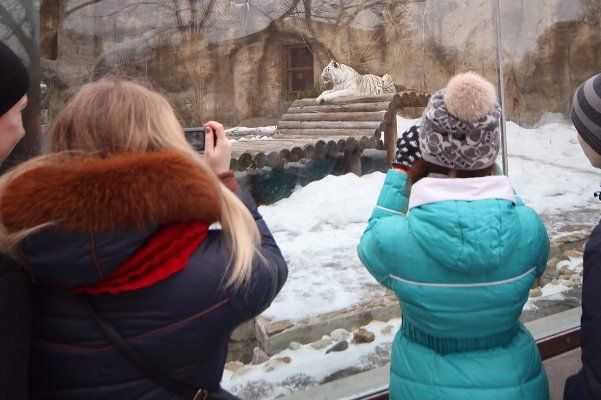 Посетителям Московского зоопарка расскажут о зимовке экзотических животных