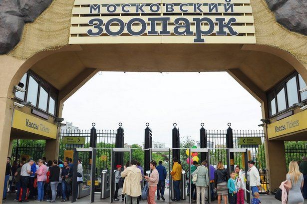 Соцкарта москвича заменит бесплатный билет при посещении Московского зоопарка