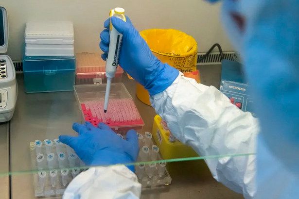 Для тестирования на коронавирус в Москве развернуто девять лабораторий