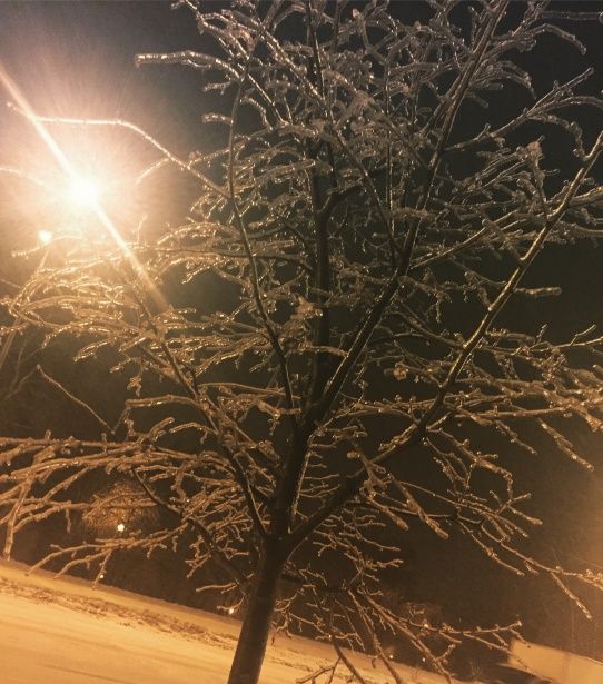 Коммунальщики убирают с дворов и улиц Матушкино поваленные ледяным дождем деревья