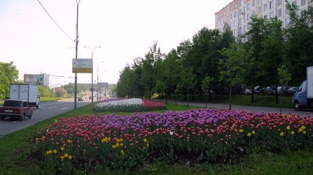 Во дворах района Матушкино скоро появится новая цветочная рассада