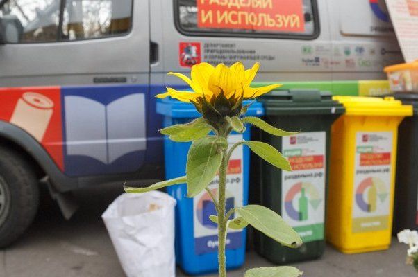 Москвичи проголосуют по вопросу сортировки бытовых отходов