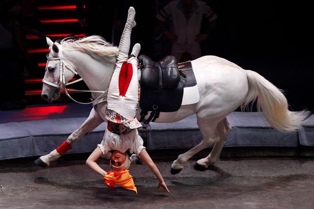 В Москве пройдёт всемирный фестиваль циркового искусства «Идол»