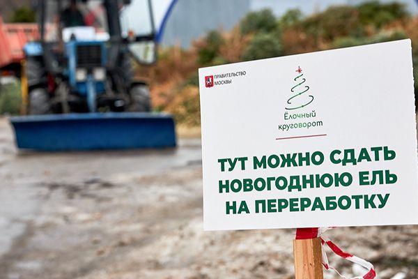 Пункты приема елок на утилизацию работают в Зеленограде до конца февраля