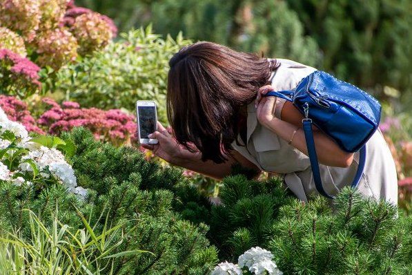 Конкурс любительских цветников «Цветочного джема» пройдет  в Матушкино на пяти площадках