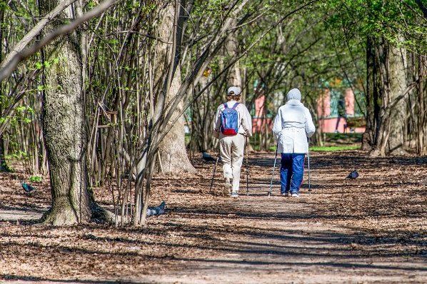 Любителей скандинавской ходьбы приглашают на экскурсию по паркам Зеленограда