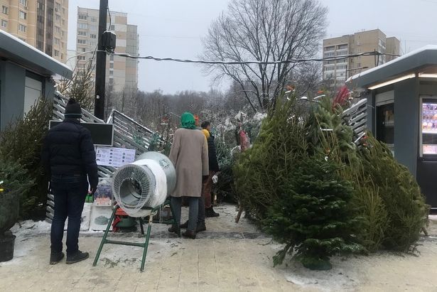 В районе Матушкино 20 декабря открылся елочный базар