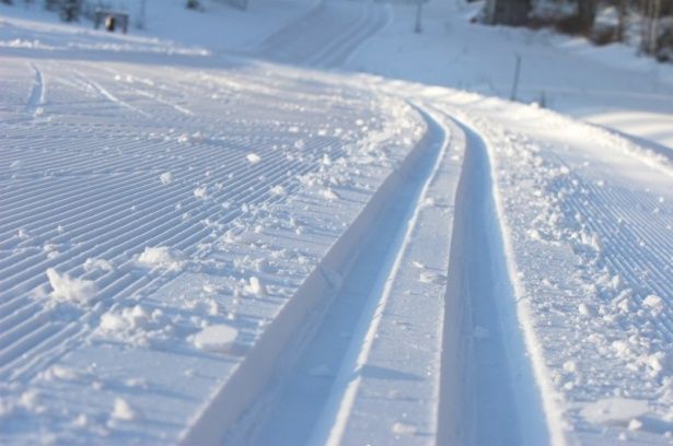 Лыжная трасса и катки в Матушкино ждут любителей зимнего отдыха
