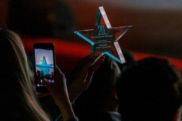 Сергунина: В Москве стартовало голосование за претендентов на премию «Путеводная звезда»