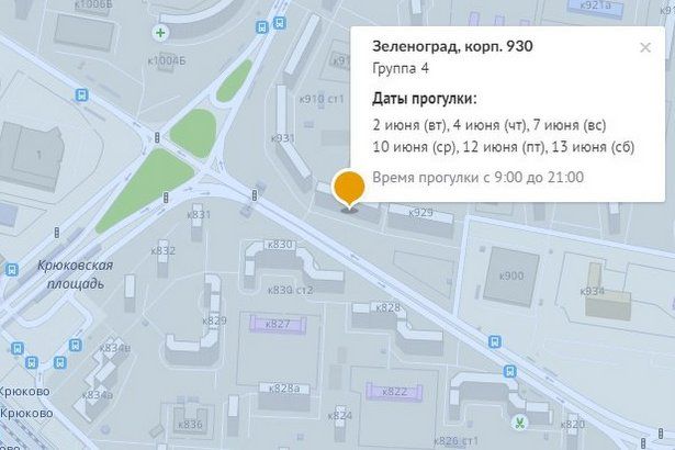 Жители Матушкино могут узнать расписание прогулок для своего дома на mos.ru