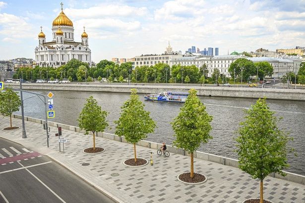 Сергей Собянин утвердил планы озеленения Москвы на 2024 год