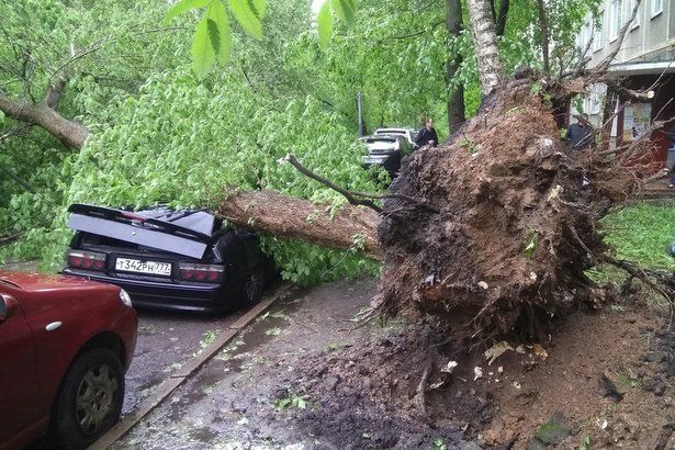 Депутат МГД Козлов: Урон автомобилю от стихийного бедствия можно компенсировать