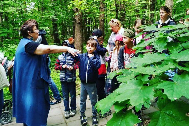 Центральная детская библиотека Зеленограда приглашает ребят на экскурсию в лес
