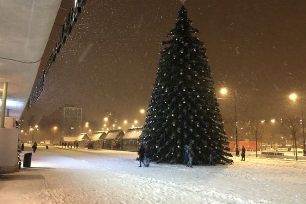 В районе Матушкино пройдут съемки новогодней комедии «Ёлки»
