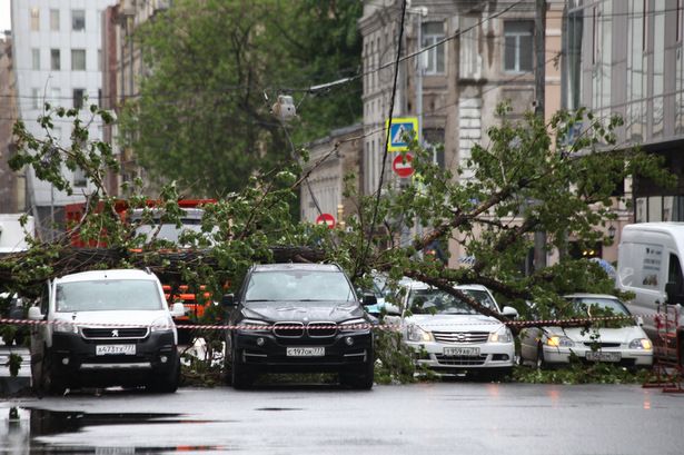 Последствия урагана в Москве ликвидируют 30 тыс человек и 5 тыс единиц техники