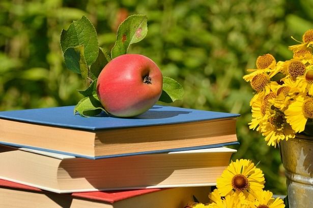 Библиотека в Матушкино приглашает ребят поучаствовать в программе летнего чтения