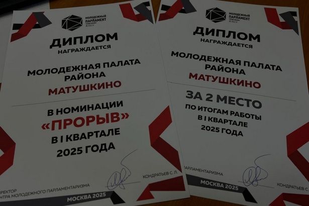 Молодежная палата района Матушкина награждена дипломами