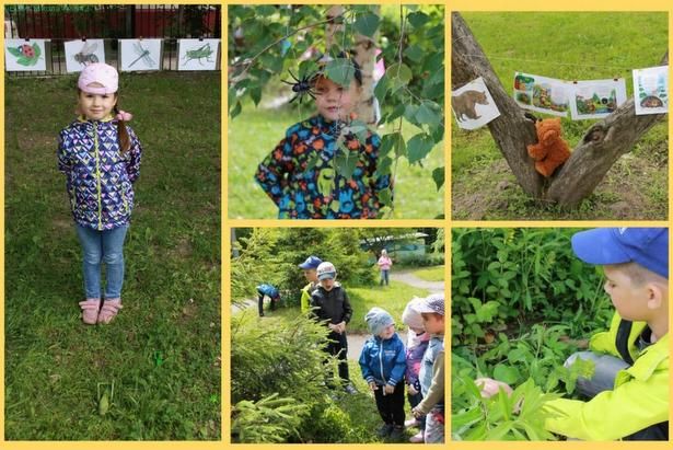 Экологическое воспитание в районе Матушкино начинается с детства