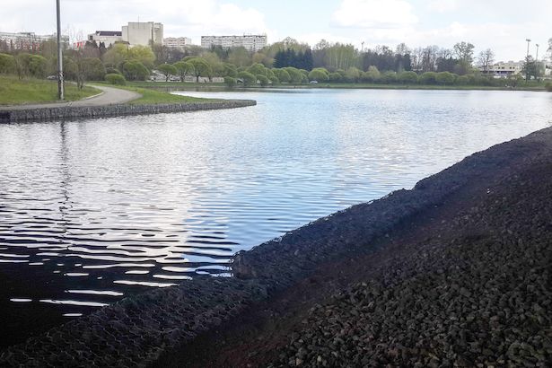 Большой городской пруд в Зеленограде почистят и облагородят