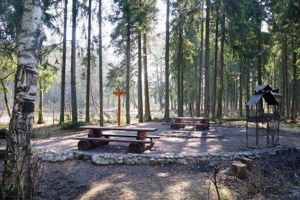 В лесопарках Зеленограда организовано 30 пикниковых точек