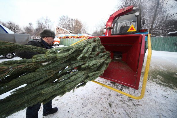 Депутат Мосгордумы Киселева: Москвичи определят самые удобные пункты приема новогодних елок