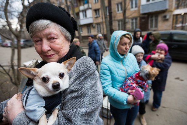 Депутат МГД Козлов: Прививка от бешенства нужна даже тем животным, которые не покидают квартиры