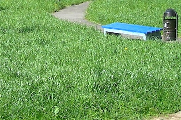 ГБУ «Жилищник района Матушкино» продолжает покос травы и ремонтные работы