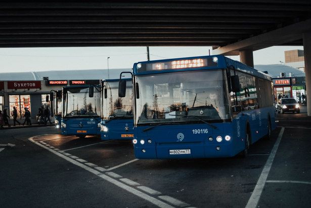 Номера маршрутов на зеленоградских автобусах изменили: к ним добавили букву З»