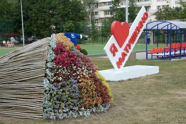 В Матушкино состоится экологический фестиваль