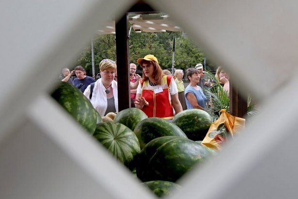 Специалисты рекомендуют отложить покупку арбузов и дынь до августа