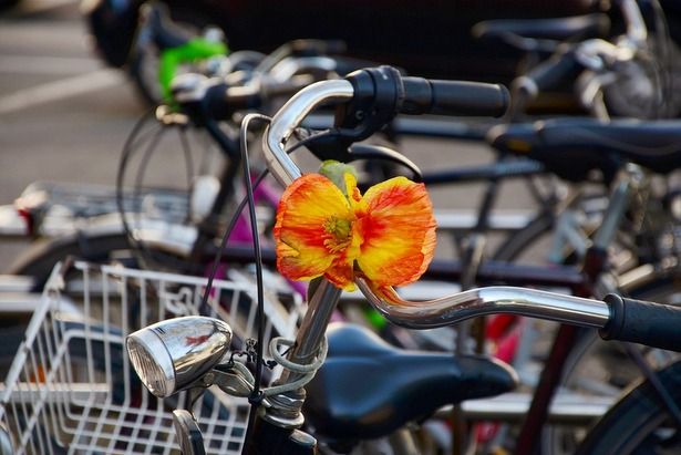 Зеленоград планируют оборудовать сетью «умных велопарковок»