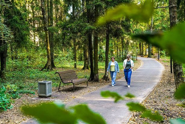 В ЗелАО в нынешнем году в лесопарках проходят благоустроительные работы